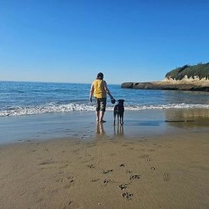 Meet your Posher, Sherry